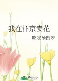 我在汴京卖花129章封面